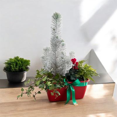 Deck the Halls (and Gardens!) with Rainwater Terrace’s Festive Planters