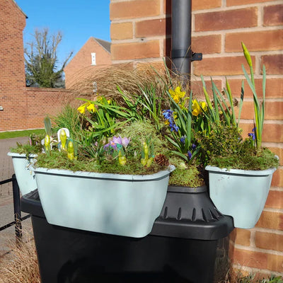 Why Rainwater Harvesting is Perfect for Your Spring Garden